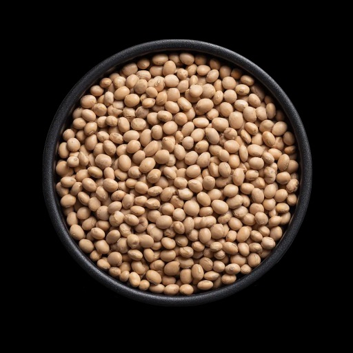 Sojaprotein Isolat