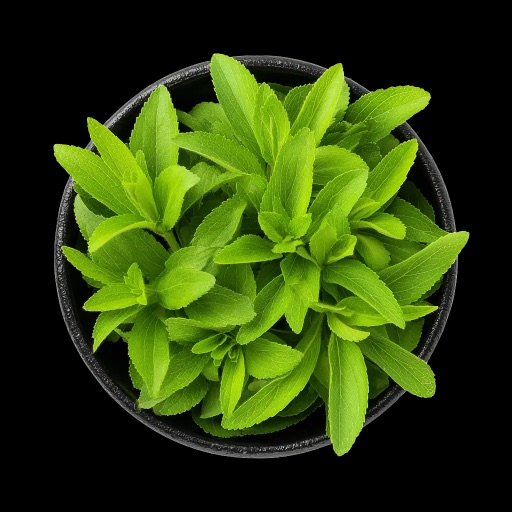 Stevia